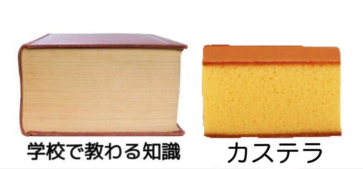 全つゆの神 tweet media