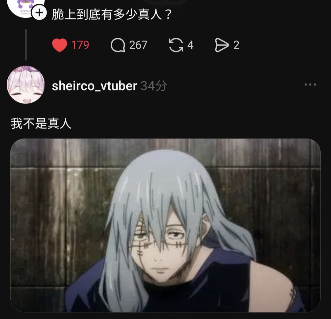 歇可sheirco🎪自力大學生Vtuber委託開放中~ tweet media