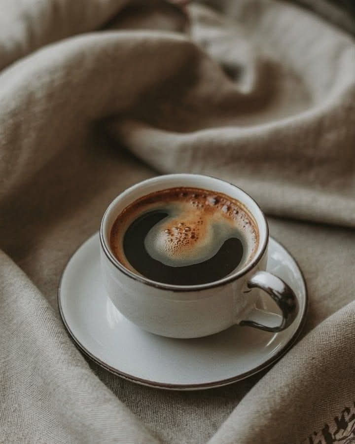 една _ Македонка ☀️ tweet media