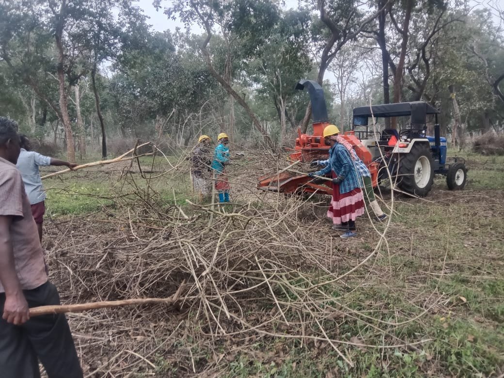 prerna singh bindra 🐘🐅🐾 tweet media