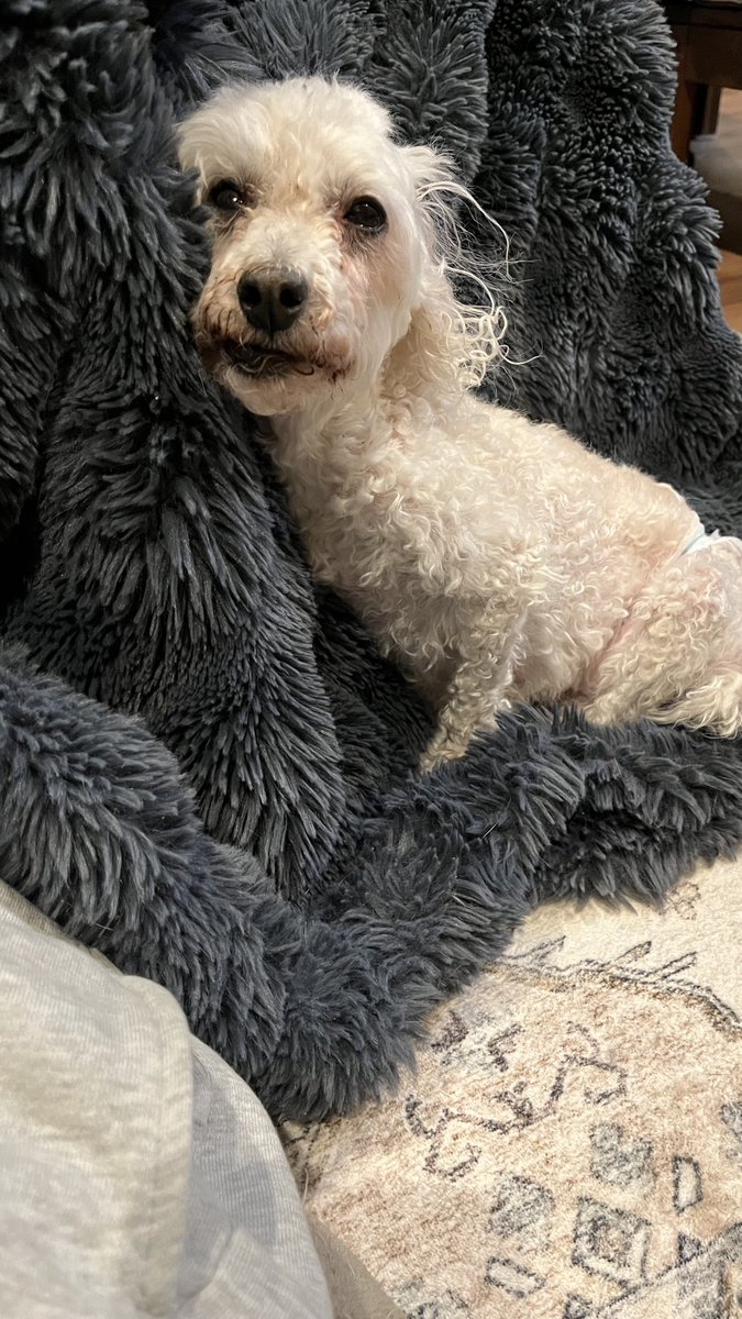 🅳🆁🅰🅶🅾🅽  🅺🅸🅳 tweet media