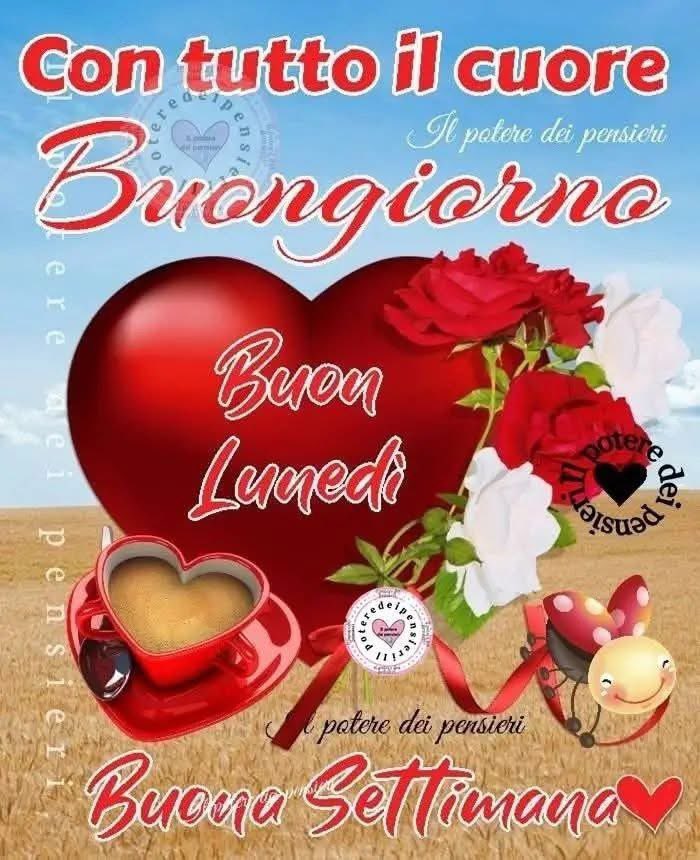 Meroni Daniele tweet media