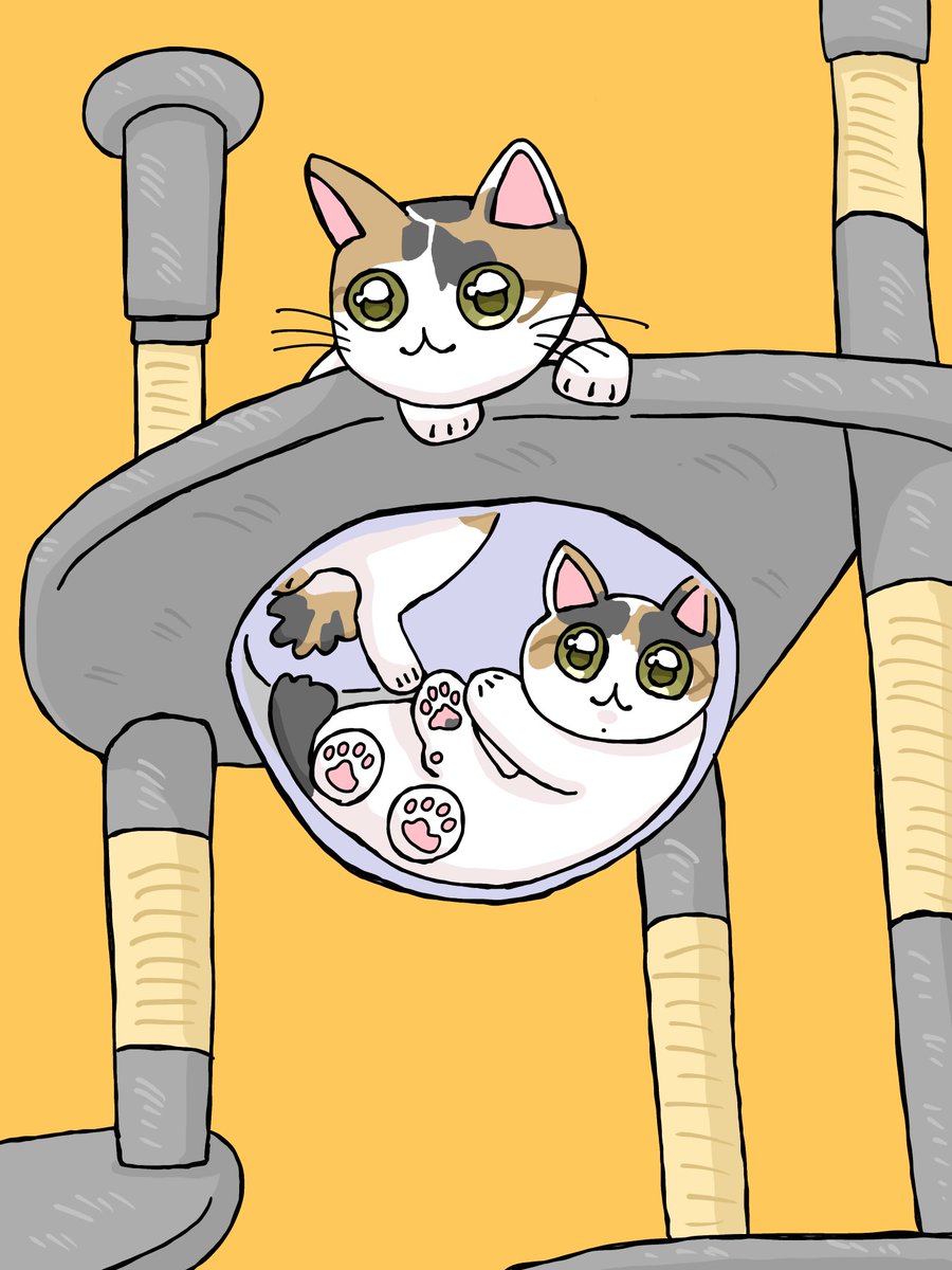 赤ちゃんのとき👶
#ツナマヨイラスト
#ネコイラスト