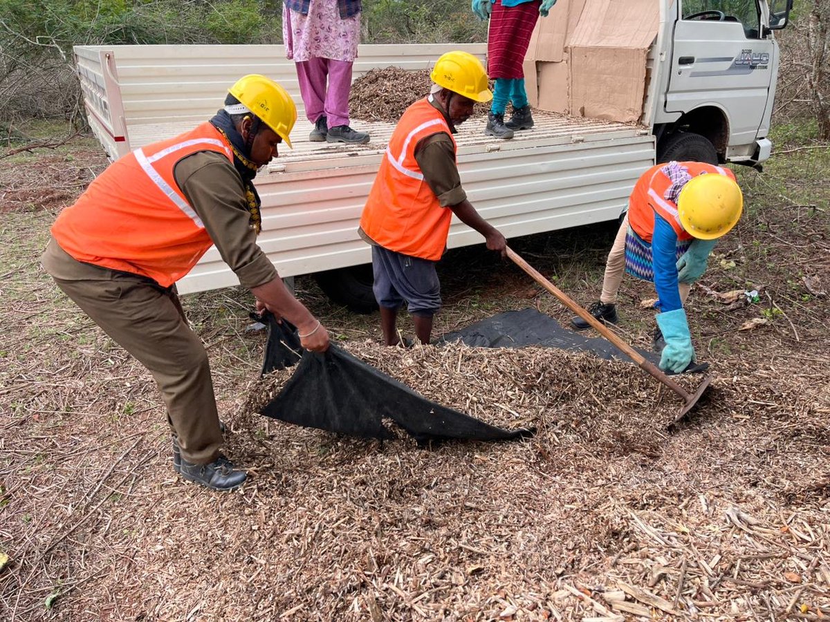 prerna singh bindra 🐘🐅🐾 tweet media