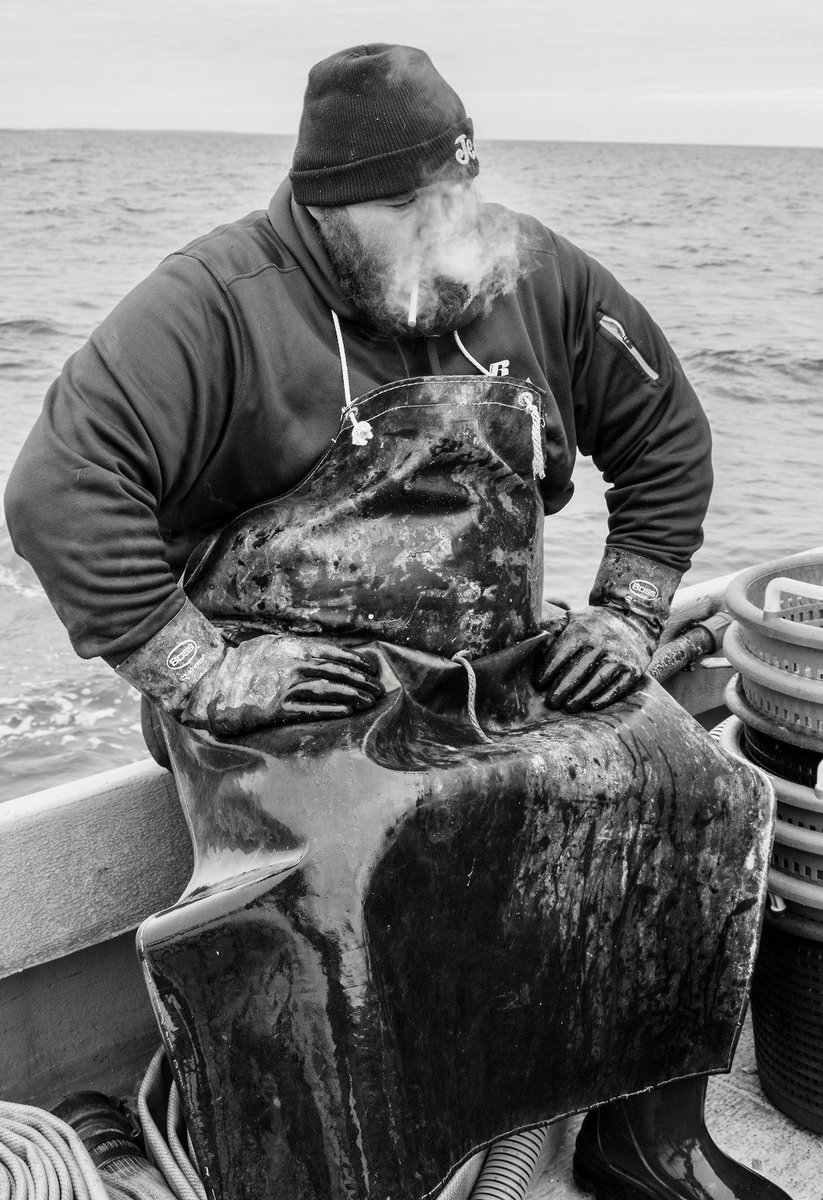 Tri(e)ste tweet media