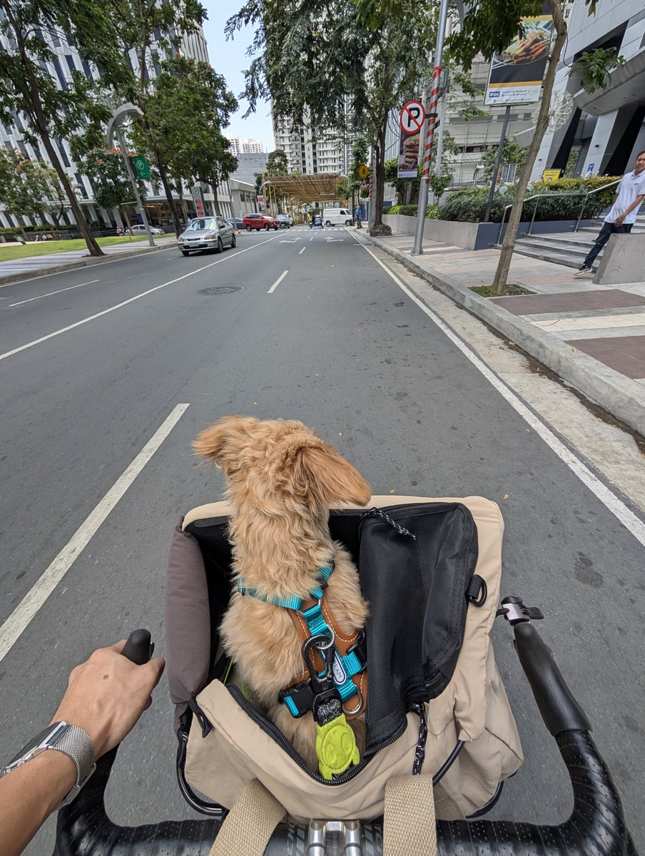 what can't she do? tweet media