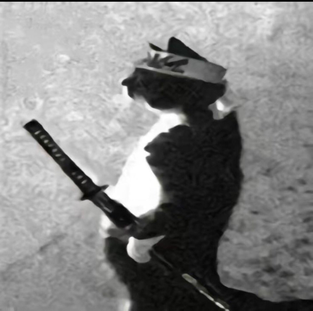 Nathan🔮 tweet media