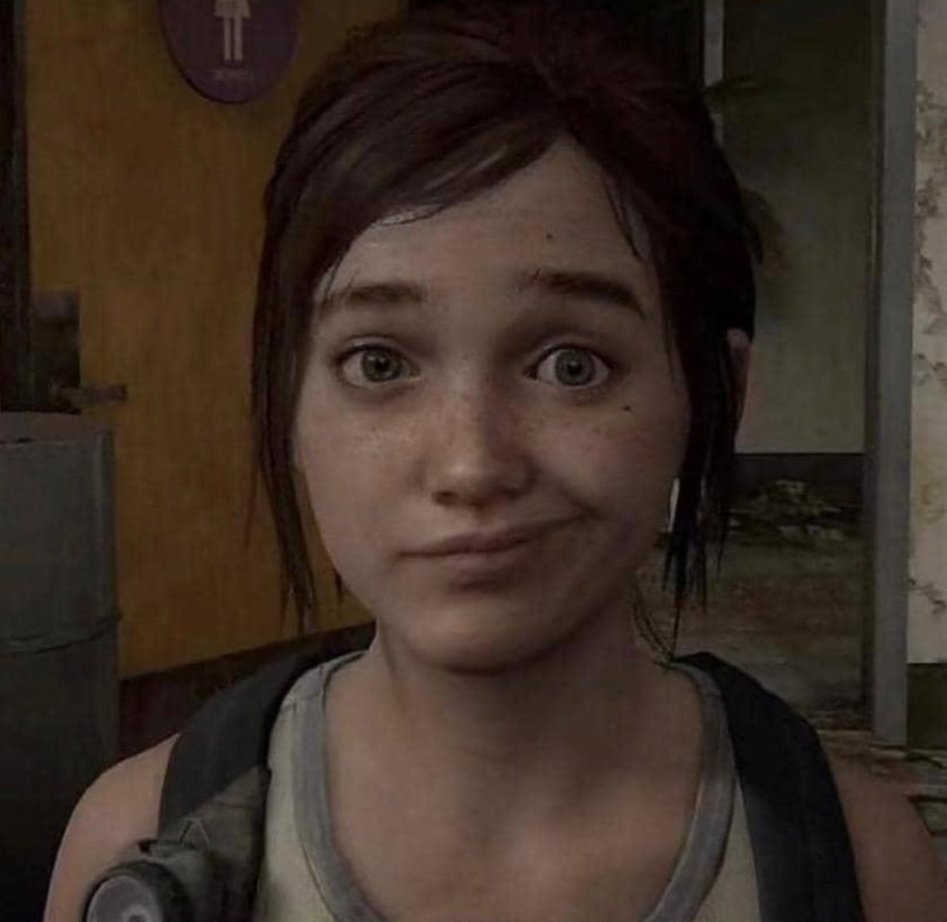 𝙼𝙰𝚈𝙾𝚁 tweet media