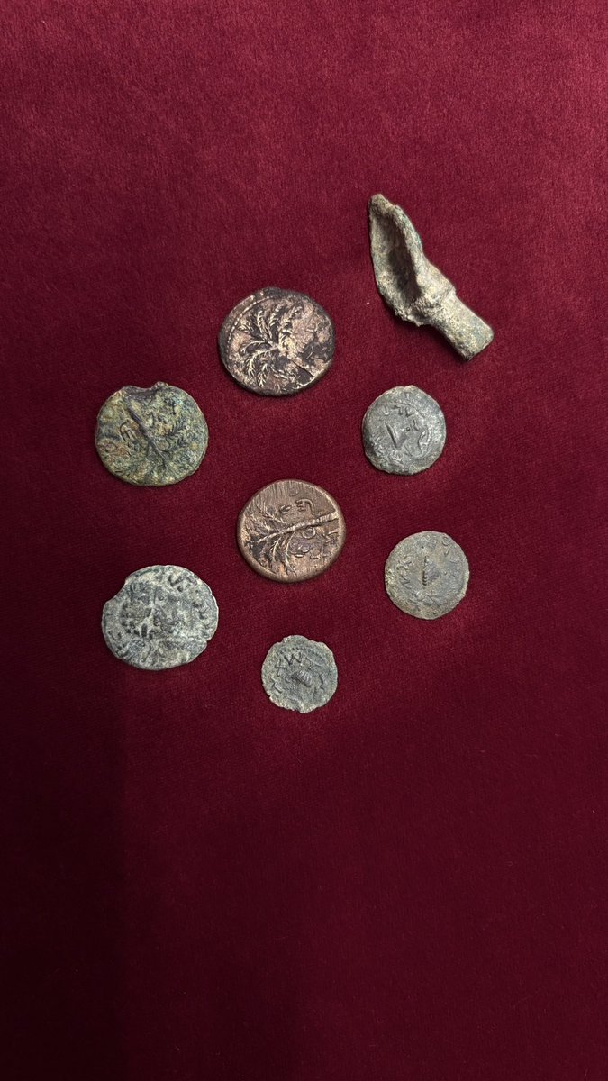 אופק נויברגר tweet media