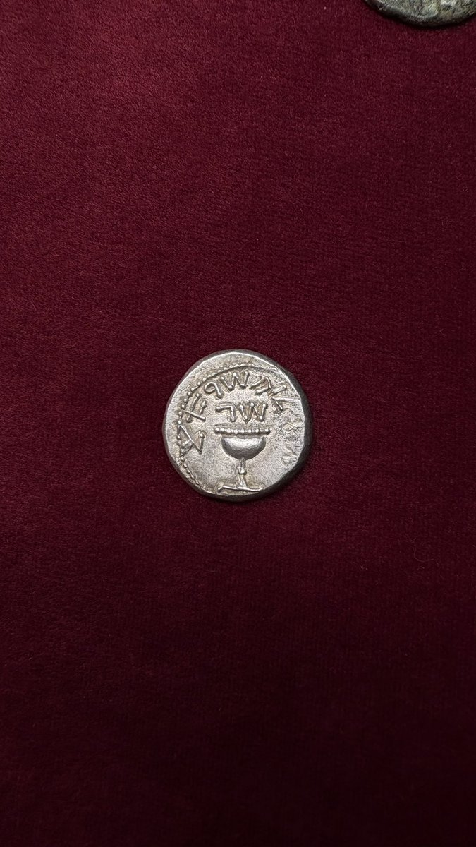 אופק נויברגר tweet media