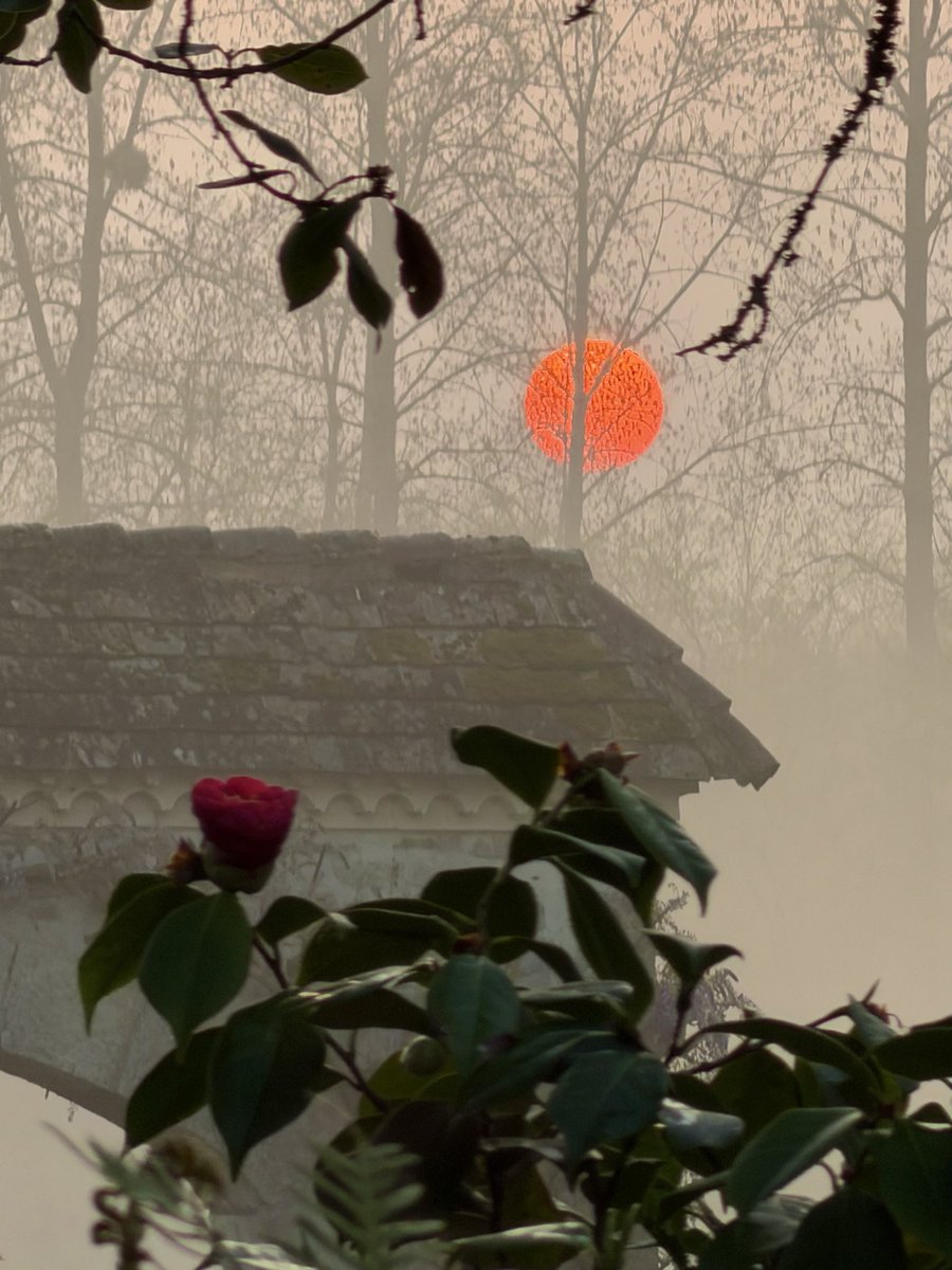 Enrique Lavigne tweet media