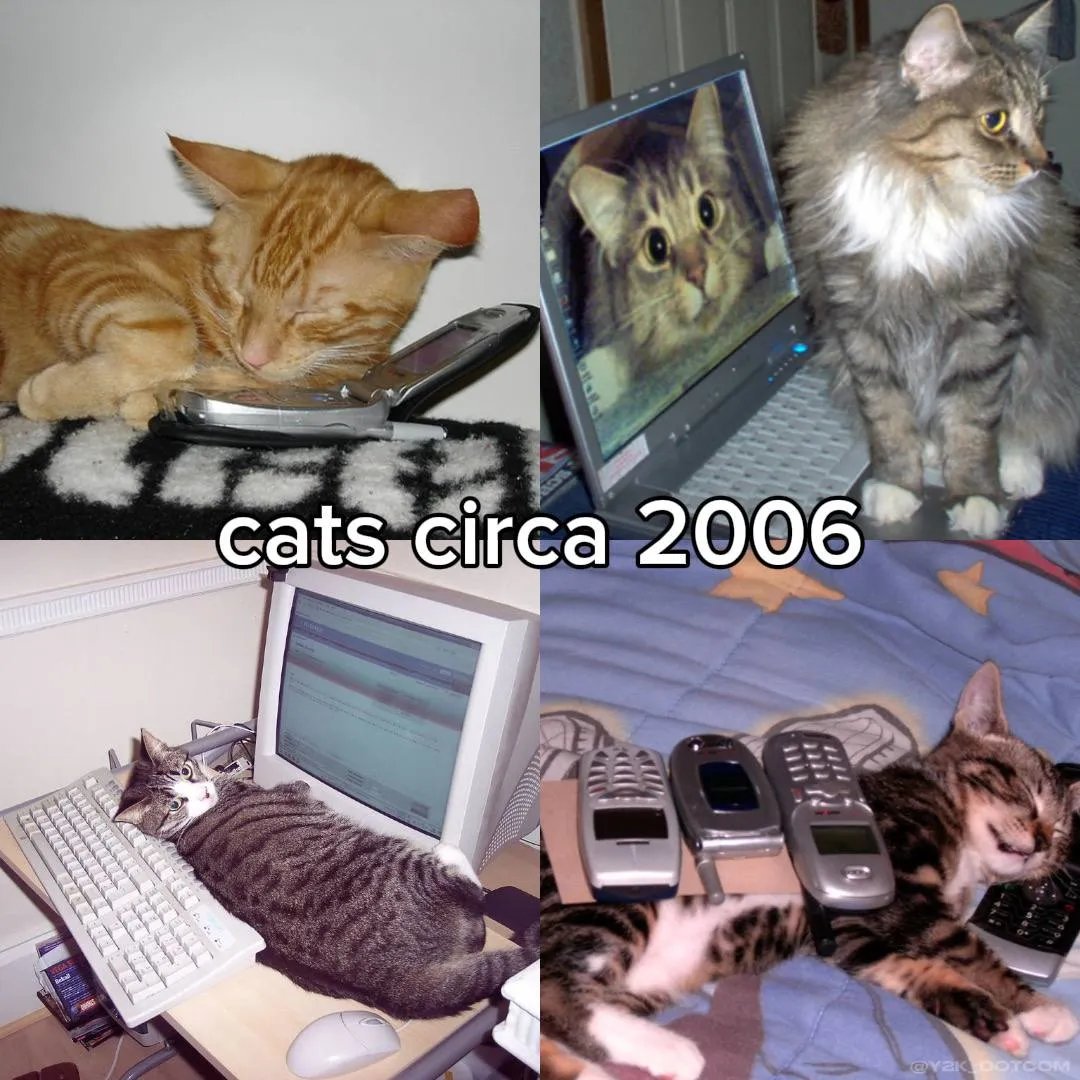 Dotcom📟🌐 tweet media