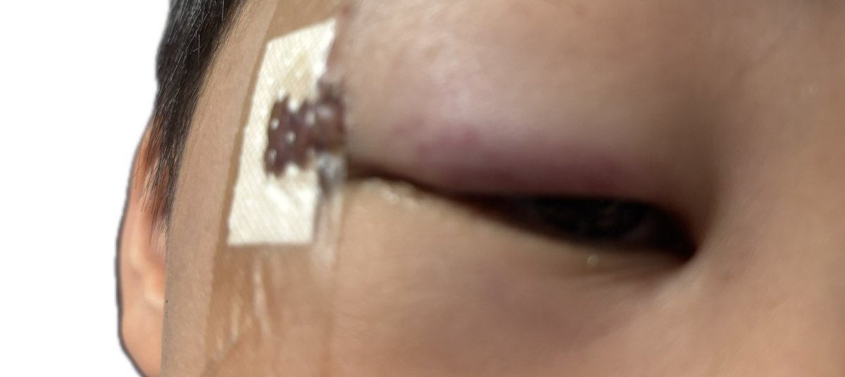 ＬＩＮＡ(ゴリ乳姉さん) tweet media