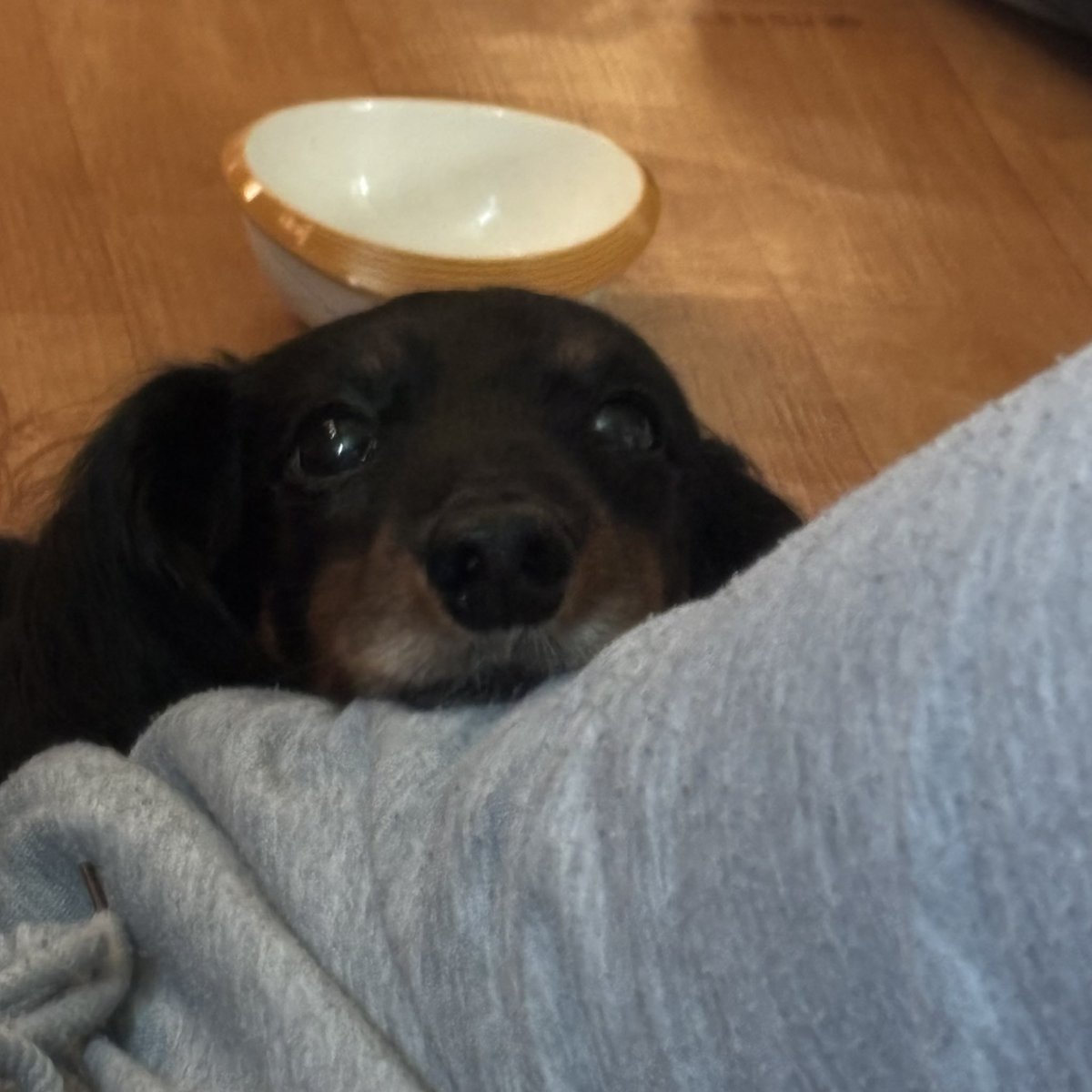 라라🐹 tweet media