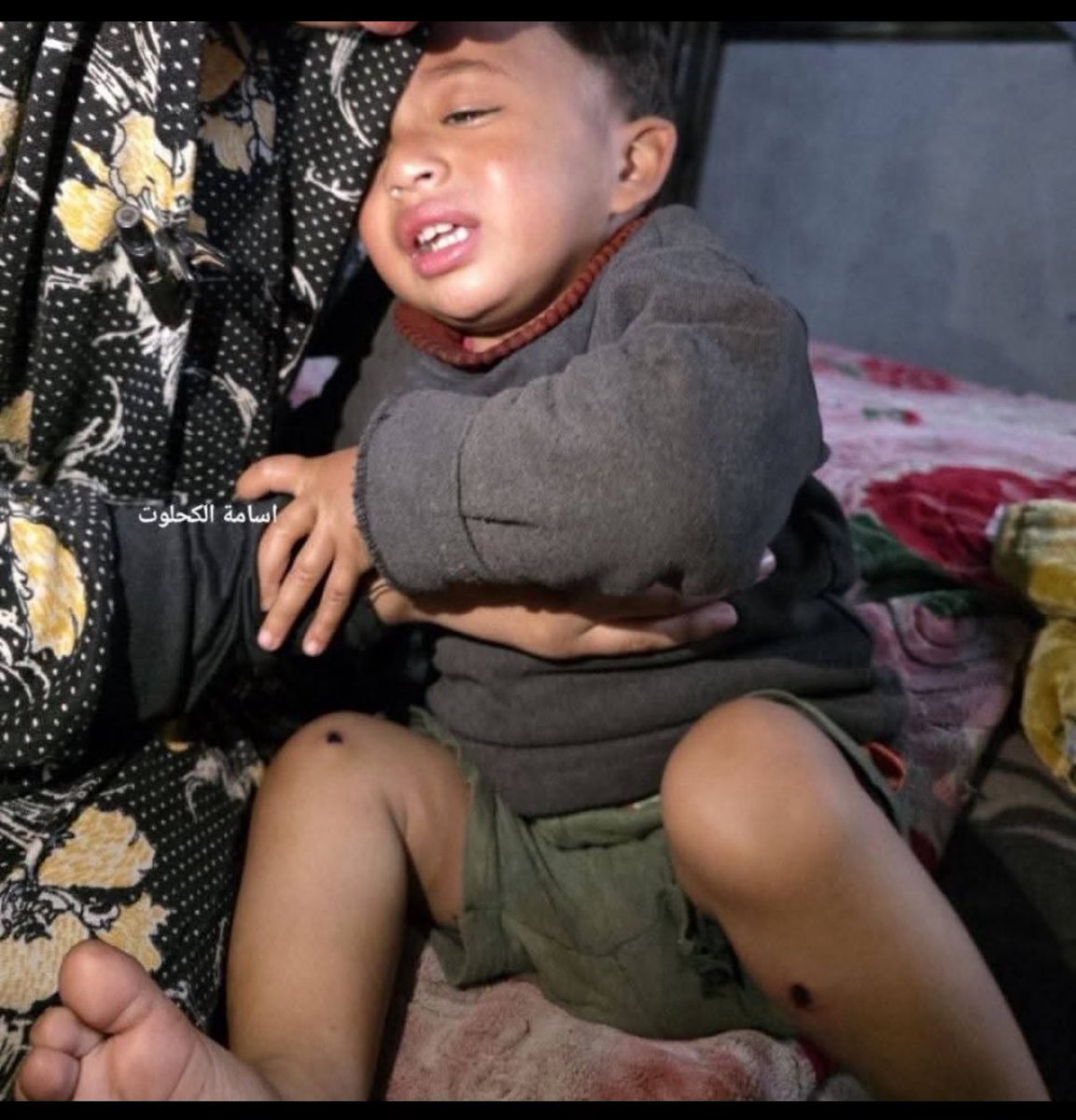 Hend F Q tweet media