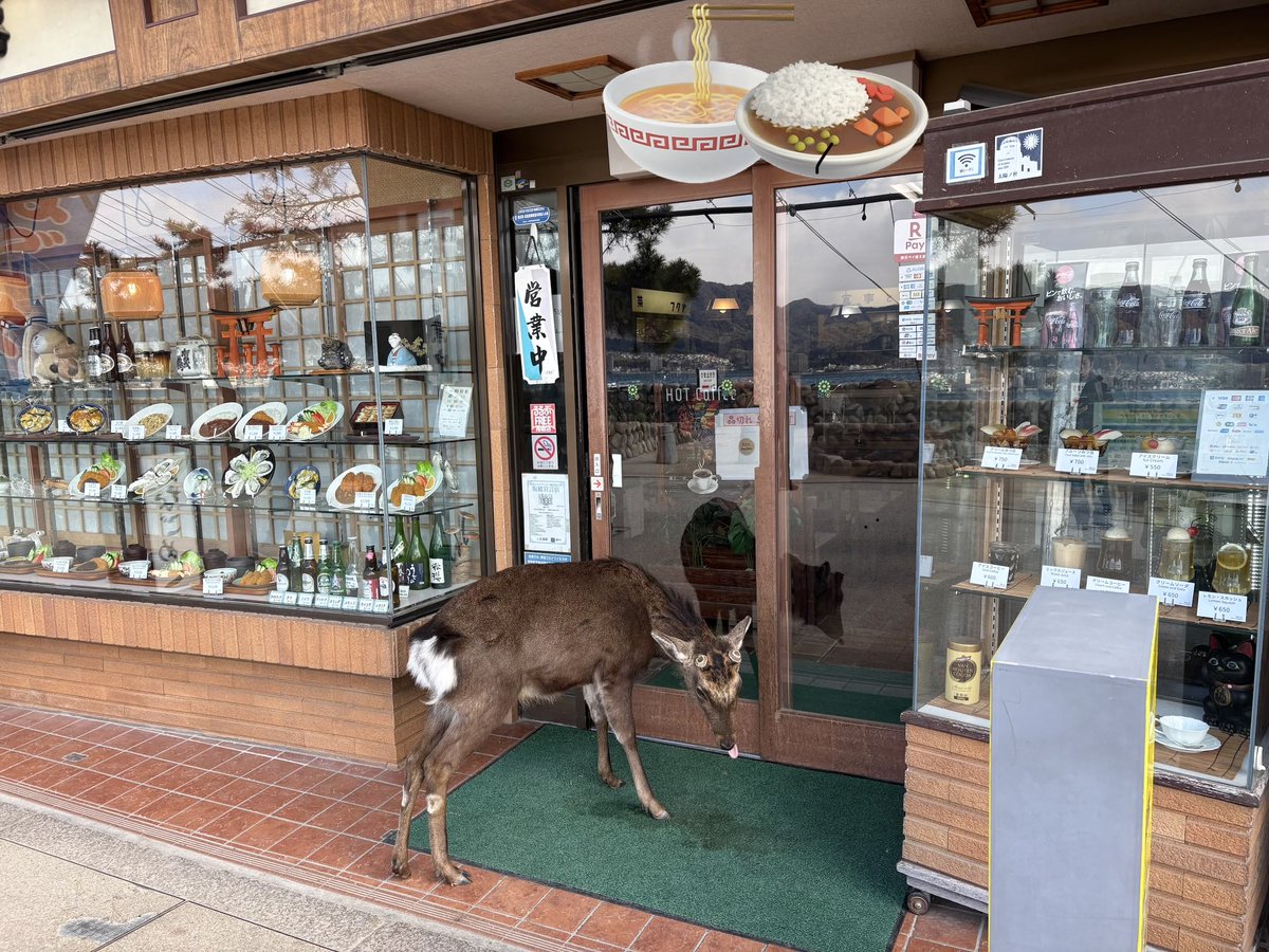 きんぐぺんちゃん tweet media