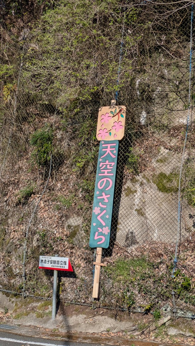 masa@VストSX/CT125ハンターカブ tweet media