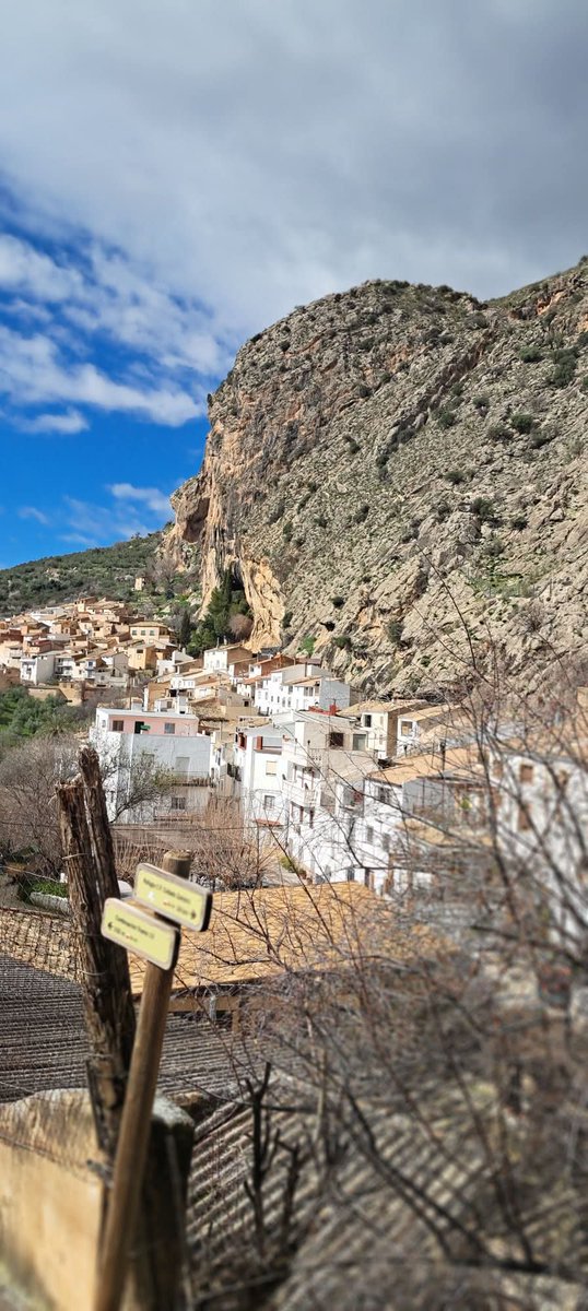 Eduardo Alvarado tweet media