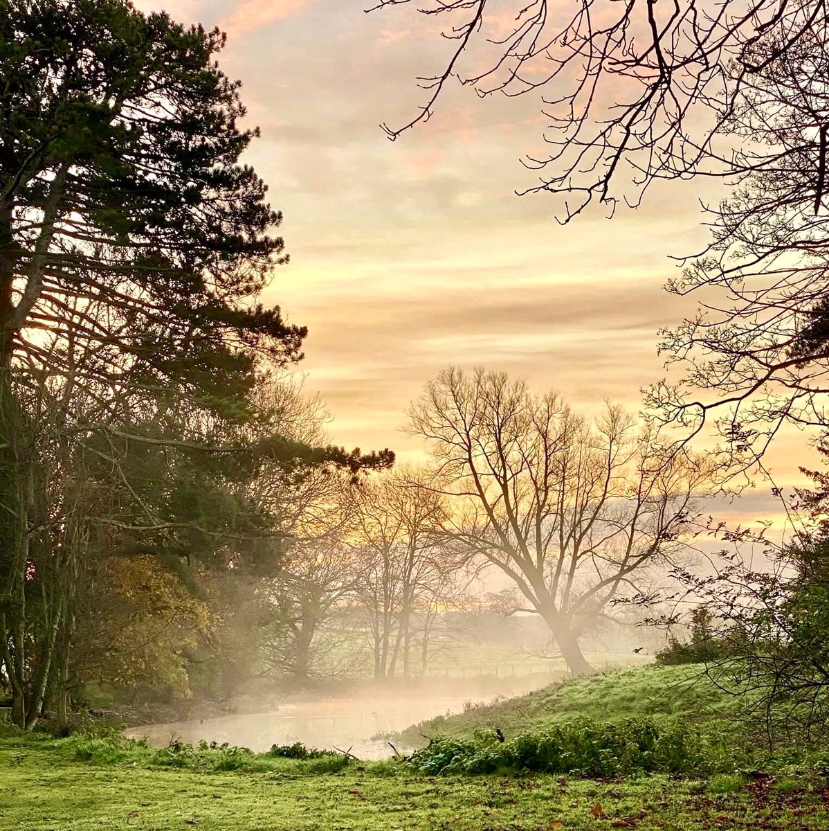 Andrew Edwards tweet media