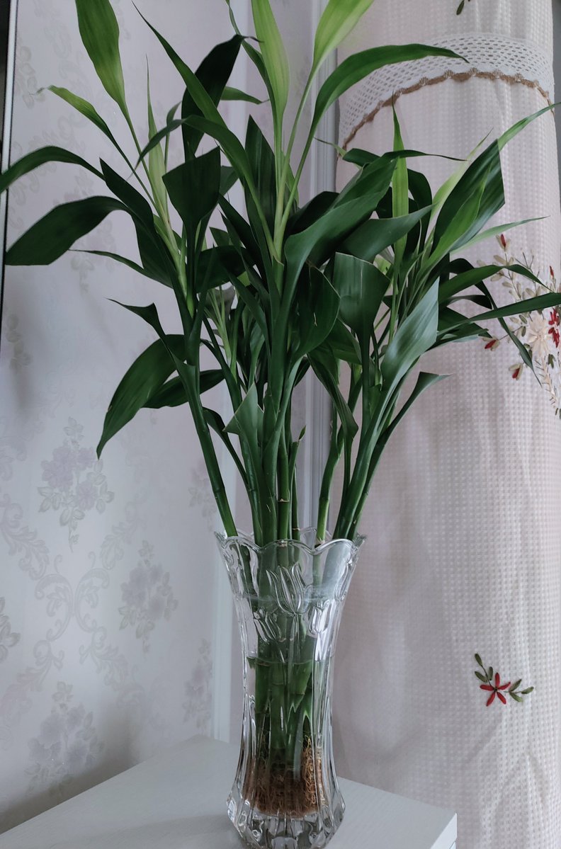 CristianaG tweet media