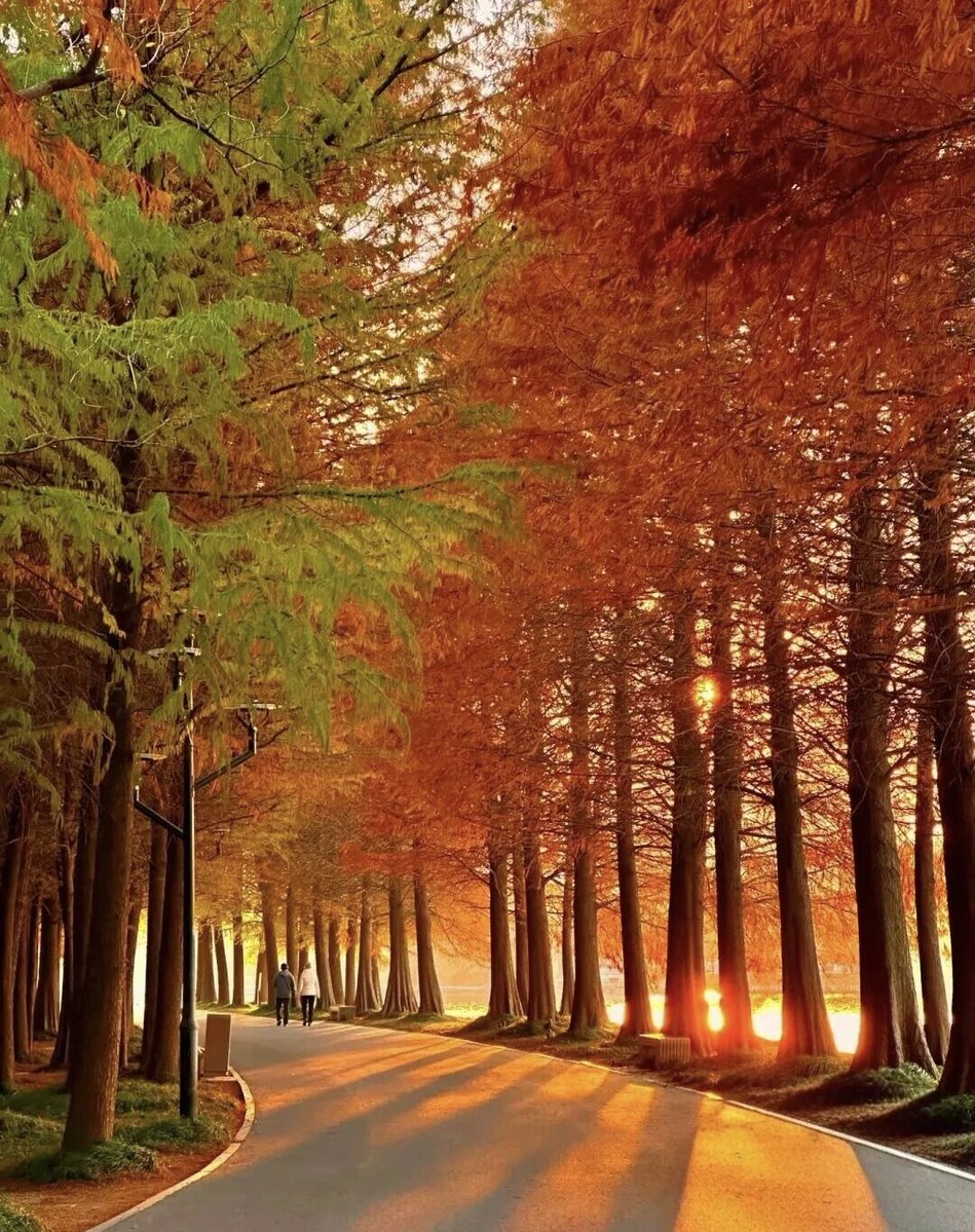 Jaime Thomason tweet media