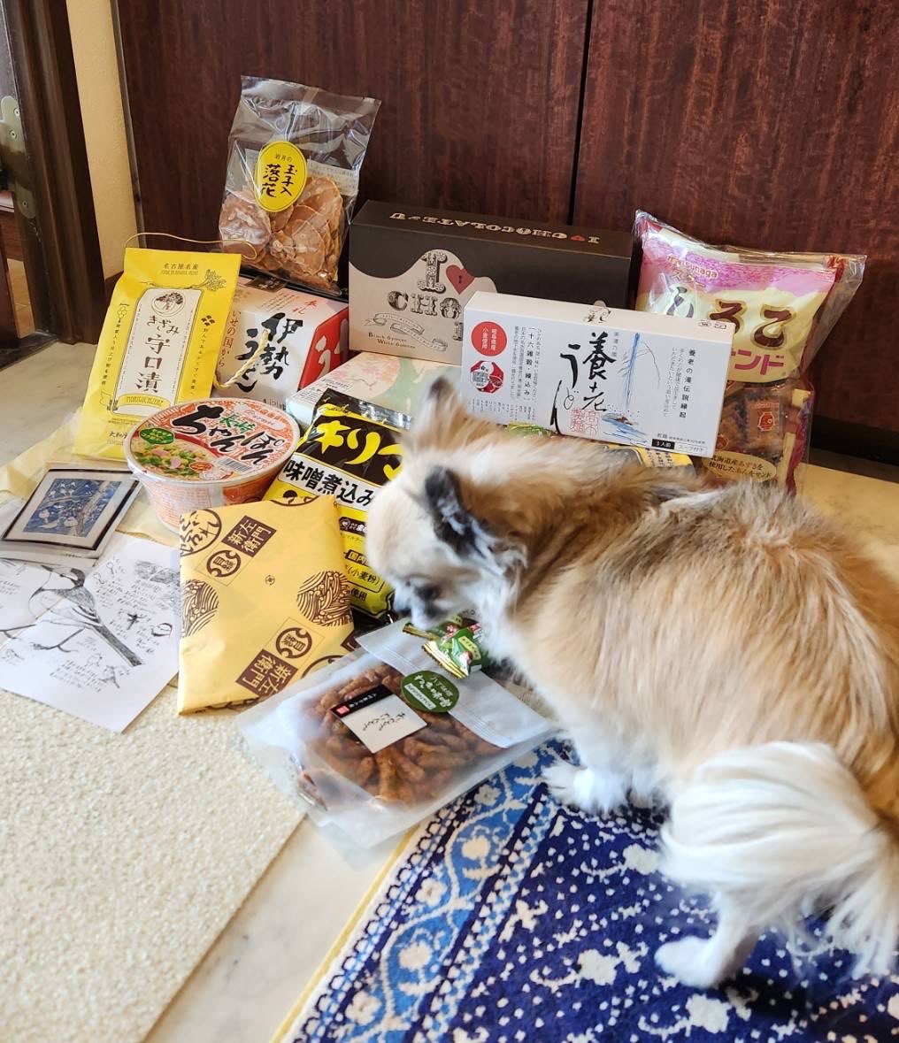 岩崎康雄(ミンキー・ヤス)の「今日も『てやんday❗️』」 tweet media