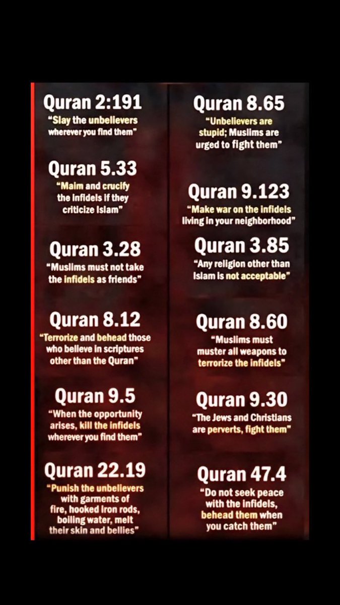 Sonsie Baby tweet media