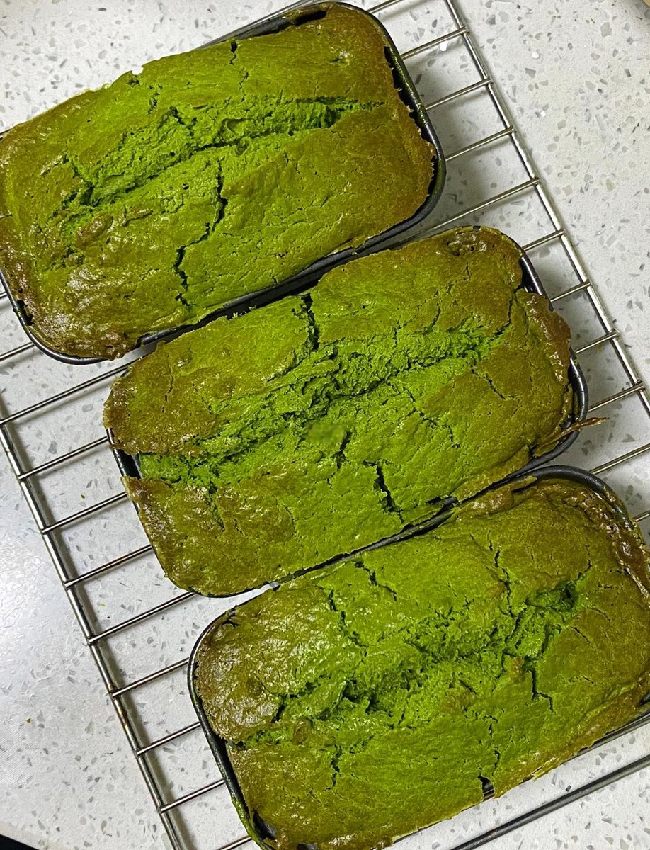 Kathleen Vogel tweet media