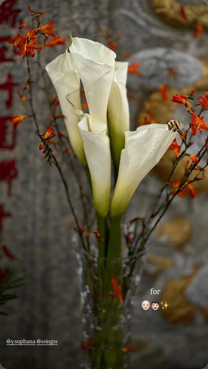 SingChimon Fans tweet media