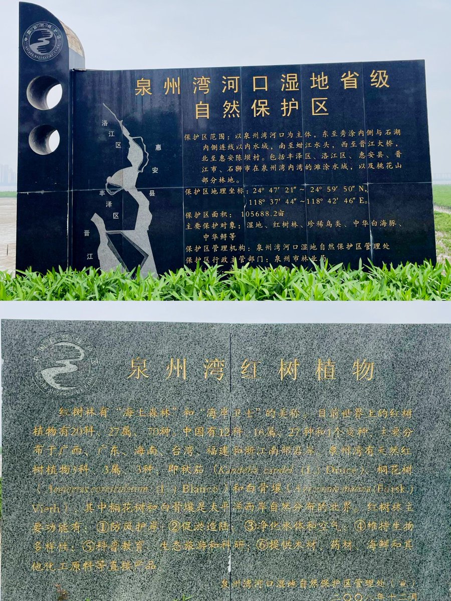 popabeed's tweet image. "Neighbors!  Community Clean-Up u0026 Potluck this Sat (10am-2pm) at Maple Park. Bring gloves, a dish to share, and good vibes! Let’s spruce up our space + connect. Tag a friend!  #MapleCommunity"