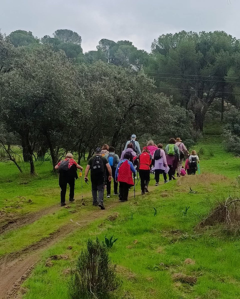 Eduardo Alvarado tweet media