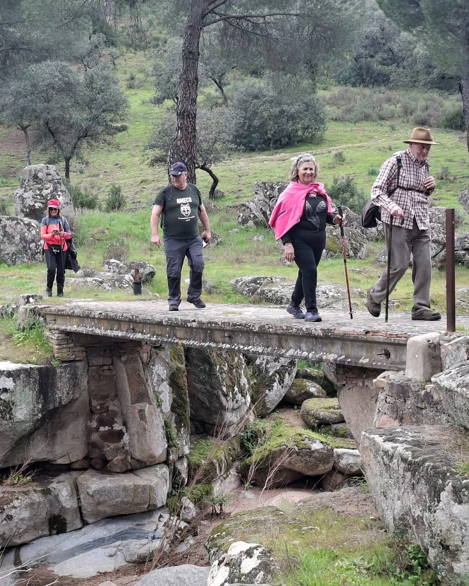 Eduardo Alvarado tweet media