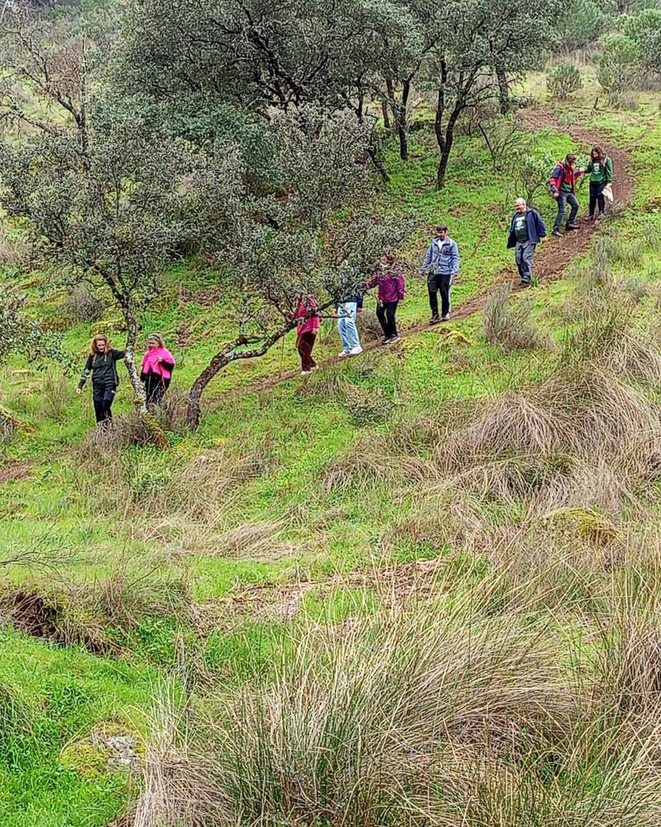 Eduardo Alvarado tweet media
