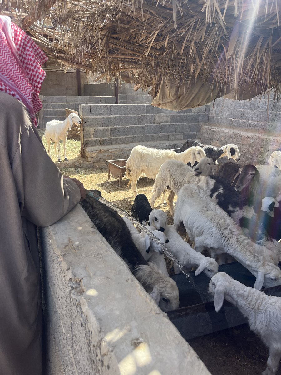 أ مــــــآ ن ♡ tweet media