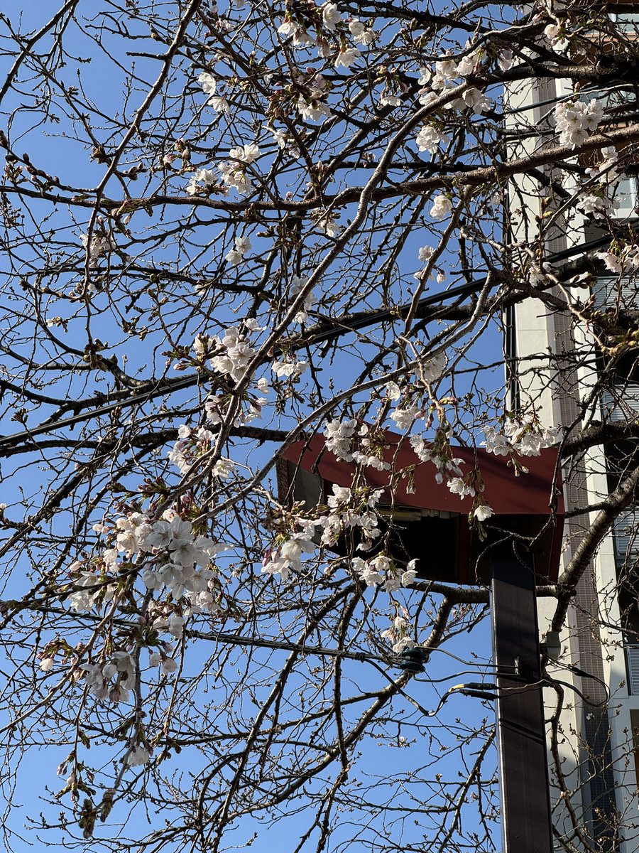 S.snafkine tweet media