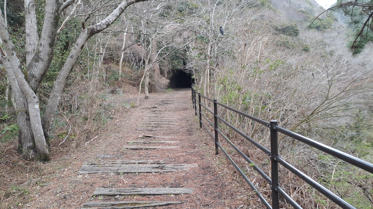 Patric van Otten 🇯🇵 tweet media