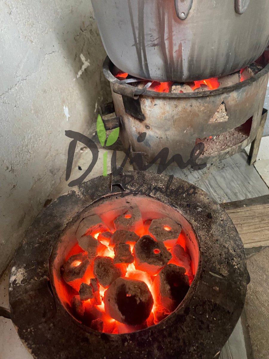 Divine Bamboo tweet media