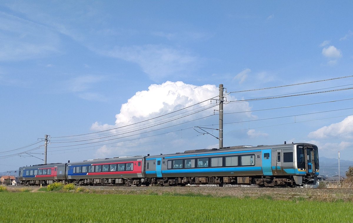 えいじパパ🦈 tweet media