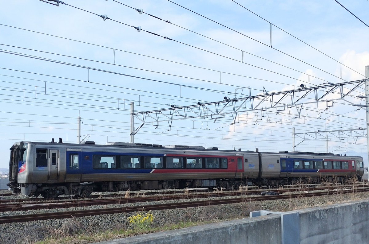 えいじパパ🦈 tweet media