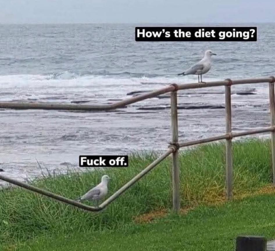 ChristinavW ~⊙°👩‍👧🦋🗝💍👩‍💻°⊙~ tweet media