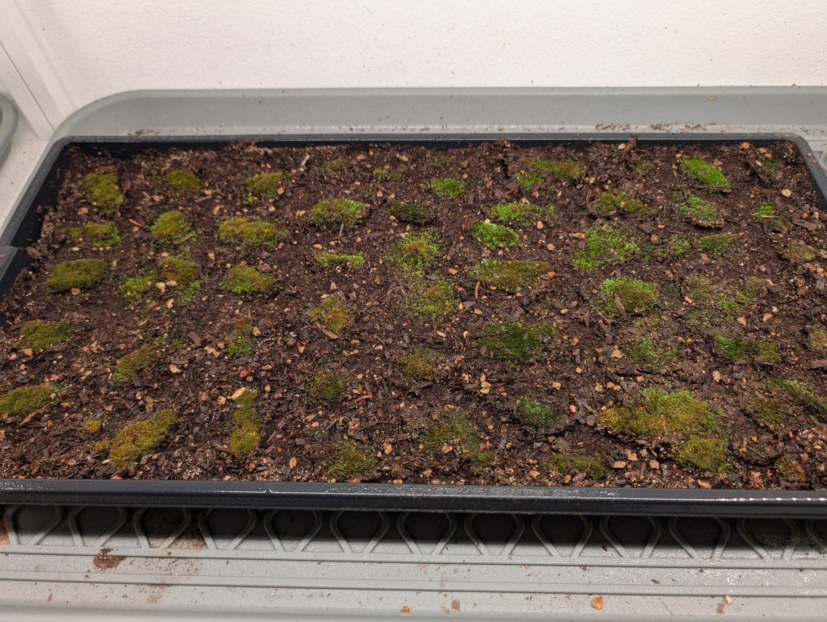 Joe Wilson tweet media