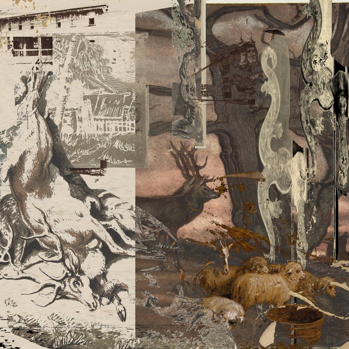 thatcherblackwood tweet media