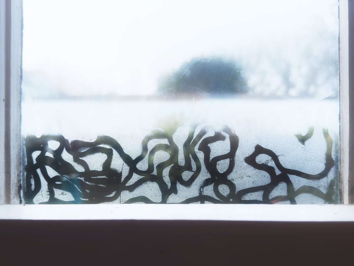 💙🐝💙 tweet media