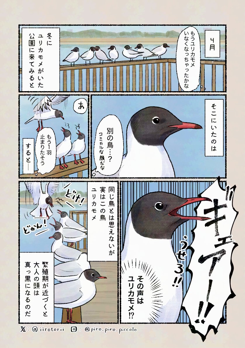 「どうしてそんなイメチェンを」
目の周りが白いのが笑えます。だんだんと黒くなるので、まだら模様なことも。 