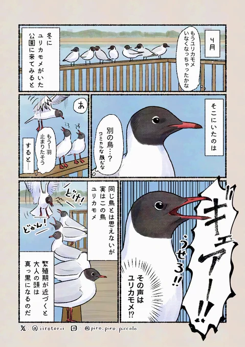 「どうしてそんなイメチェンを」
目の周りが白いのが笑えます。だんだんと黒くなるので、まだら模様なことも。 