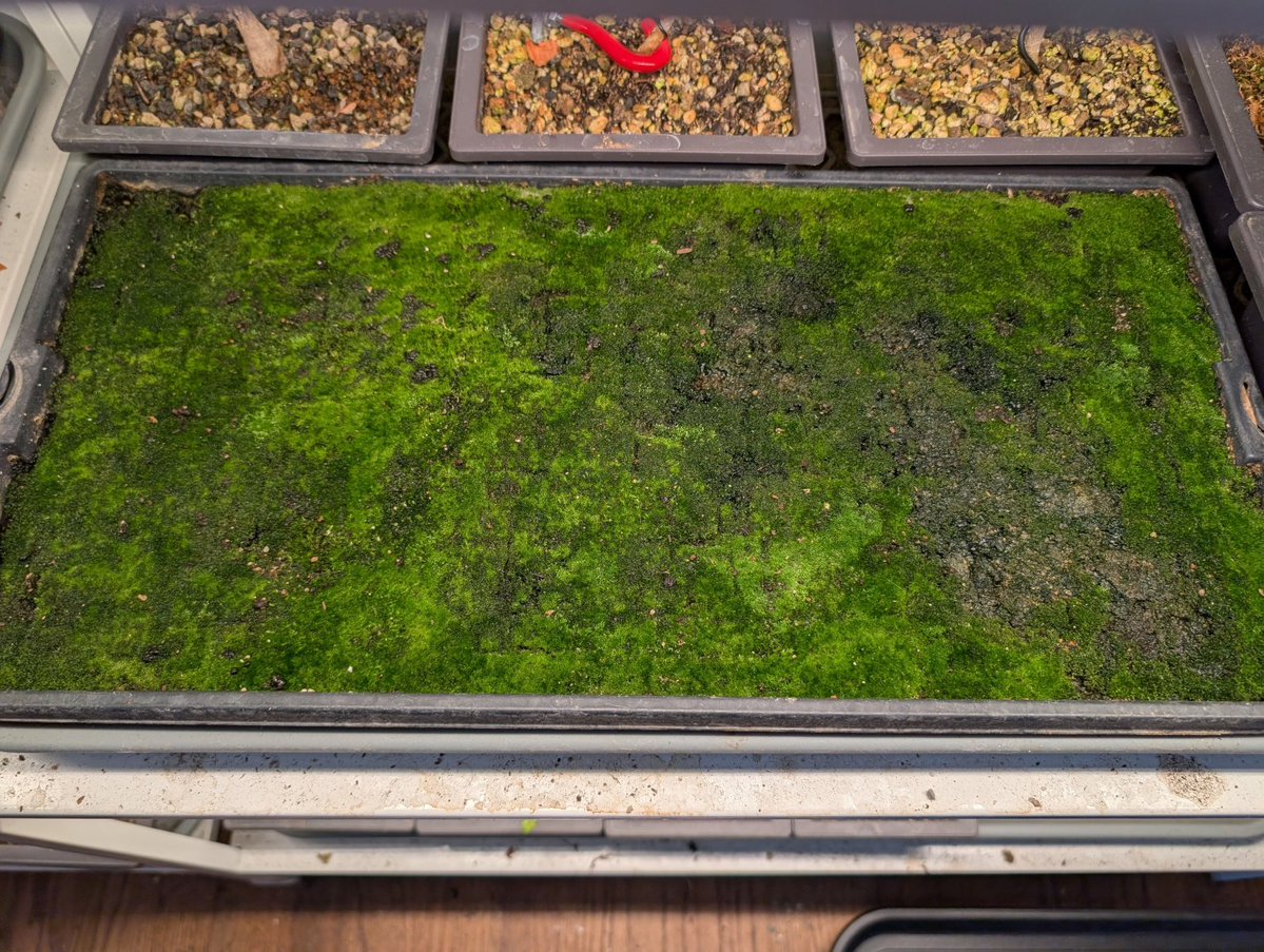 Joe Wilson tweet media