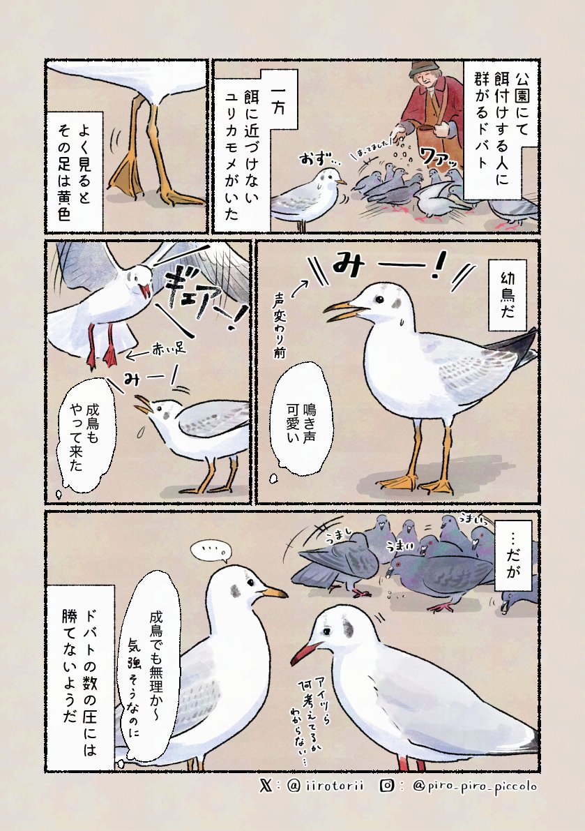 𝚙𝚒𝚛𝚘 𝚙𝚒𝚛𝚘 𝚙𝚒𝚌𝚌𝚘𝚕𝚘 tweet media