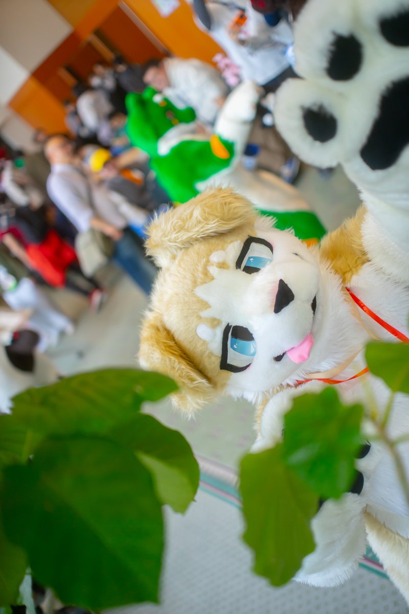 もにた tweet media