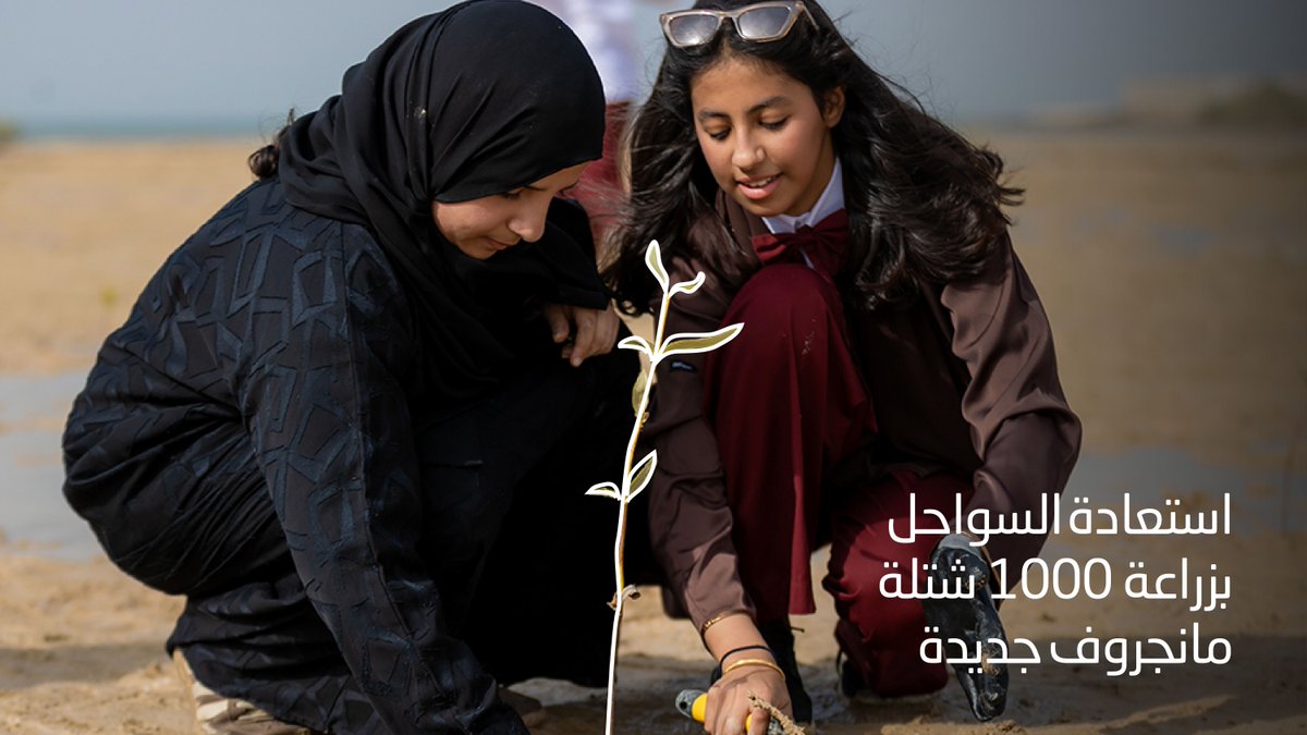 كاوست tweet media