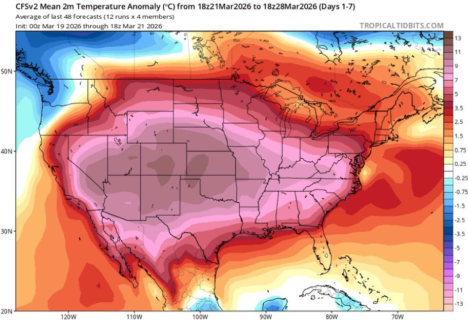 Thomas Reis tweet media